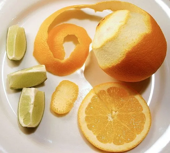 Décoration citrus pour cocktails