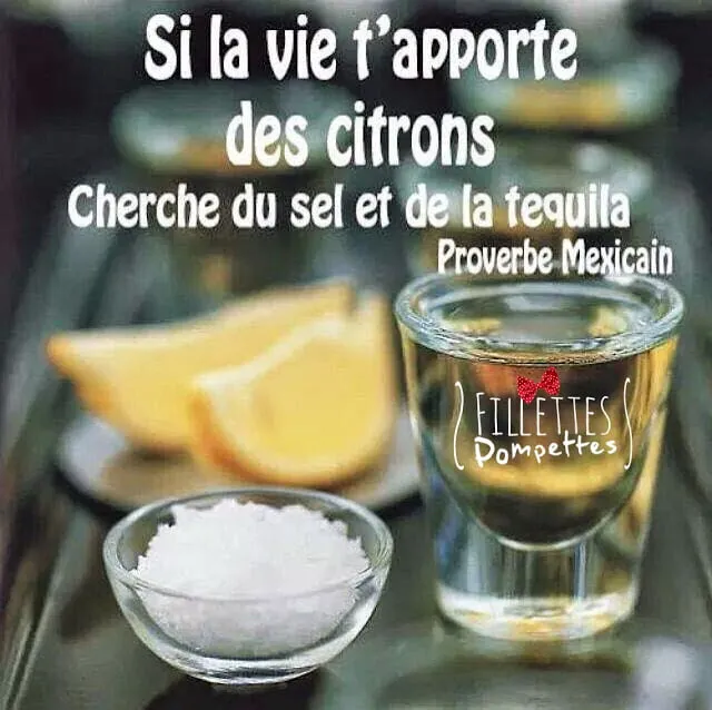 Si la vie te donne des citrons…