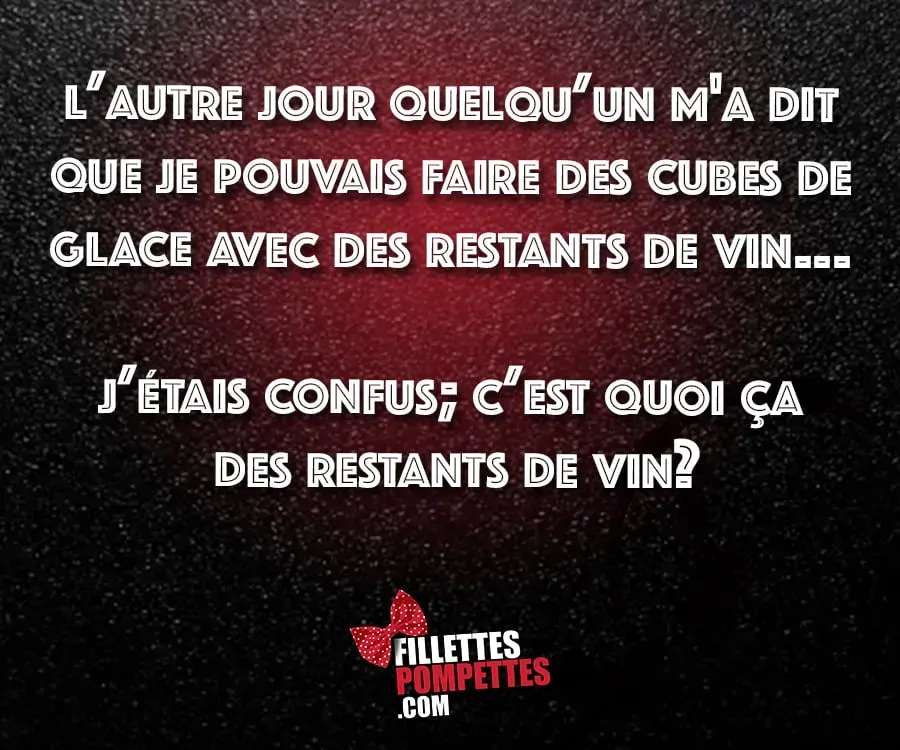 10 façons pour jamais perdre ses restants de vin!