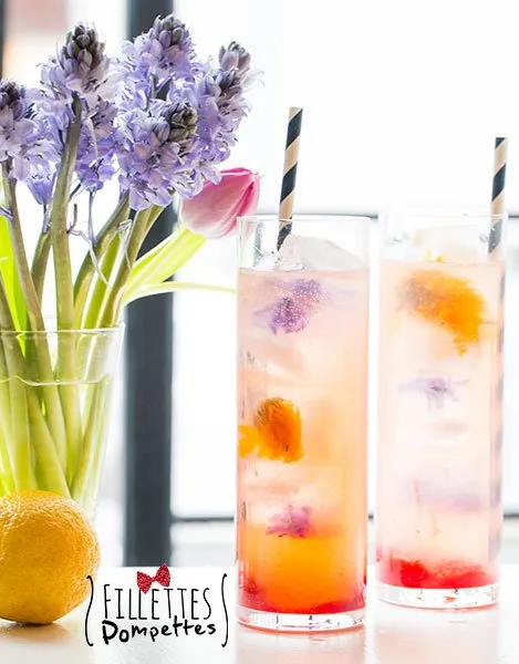Comment faire des glaçons avec des fleurs comestibles – Fillettes Pompettes
