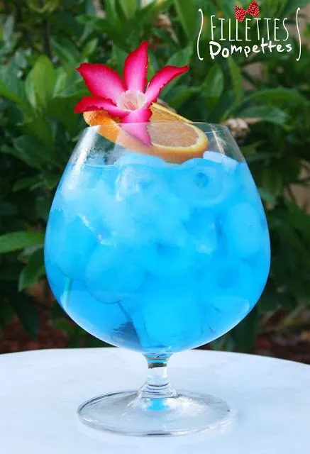 Explosion de bleuets- Fillettes Pompettes