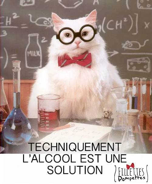 Si le chat le dit ça doit être vrai! – Fillettes Pompettes