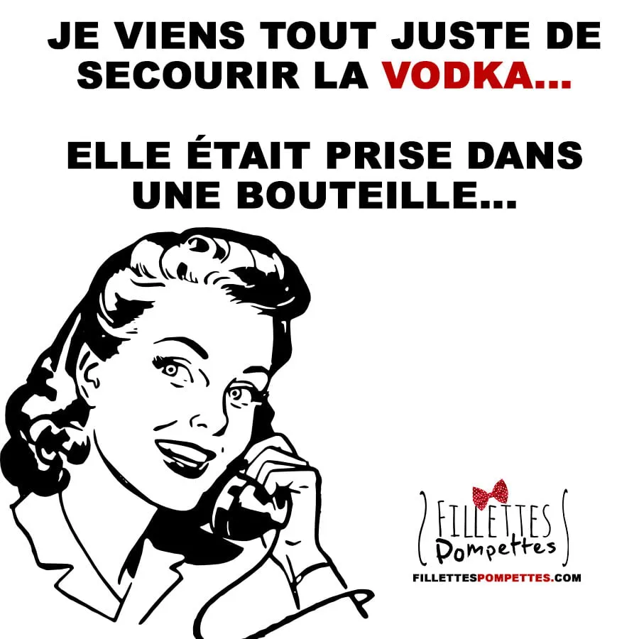 J&rsquo;ai secouru la Vodka !