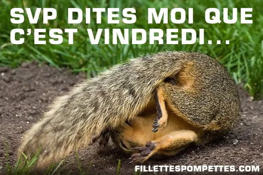 Est-ce que c&rsquo;est vindredi ?