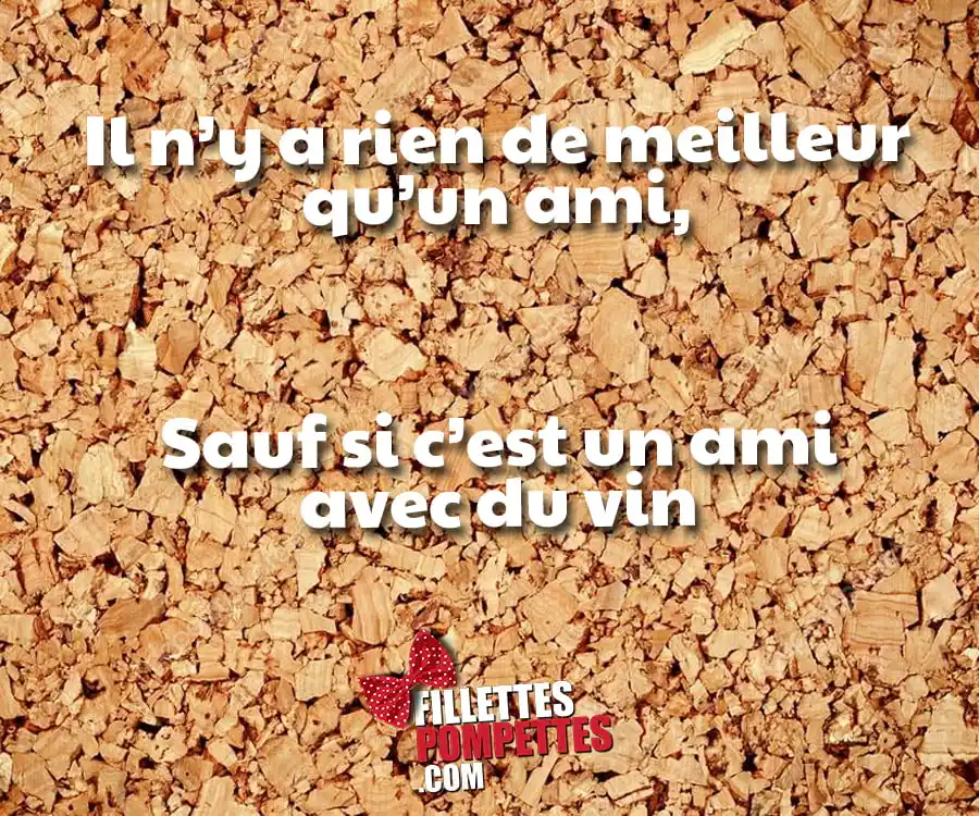 Il n&rsquo;y a rien de meilleur qu&rsquo;un ami avec du vin!